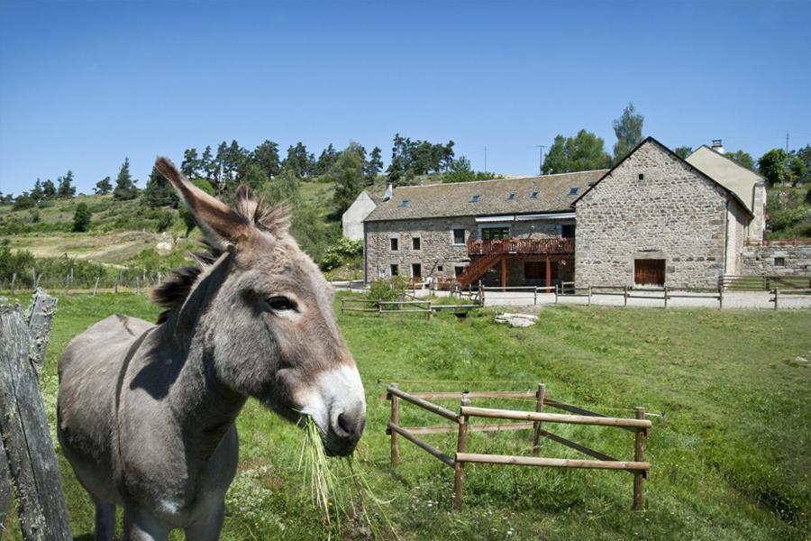 Logis Hotels Les Granges De Bigose Rimeize Exterior photo